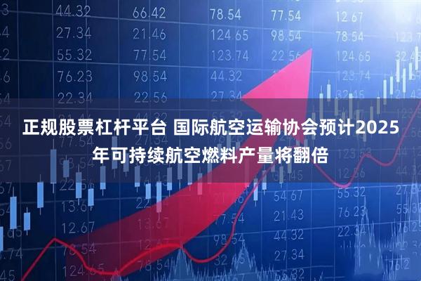 正规股票杠杆平台 国际航空运输协会预计2025年可持续航空燃料产量将翻倍